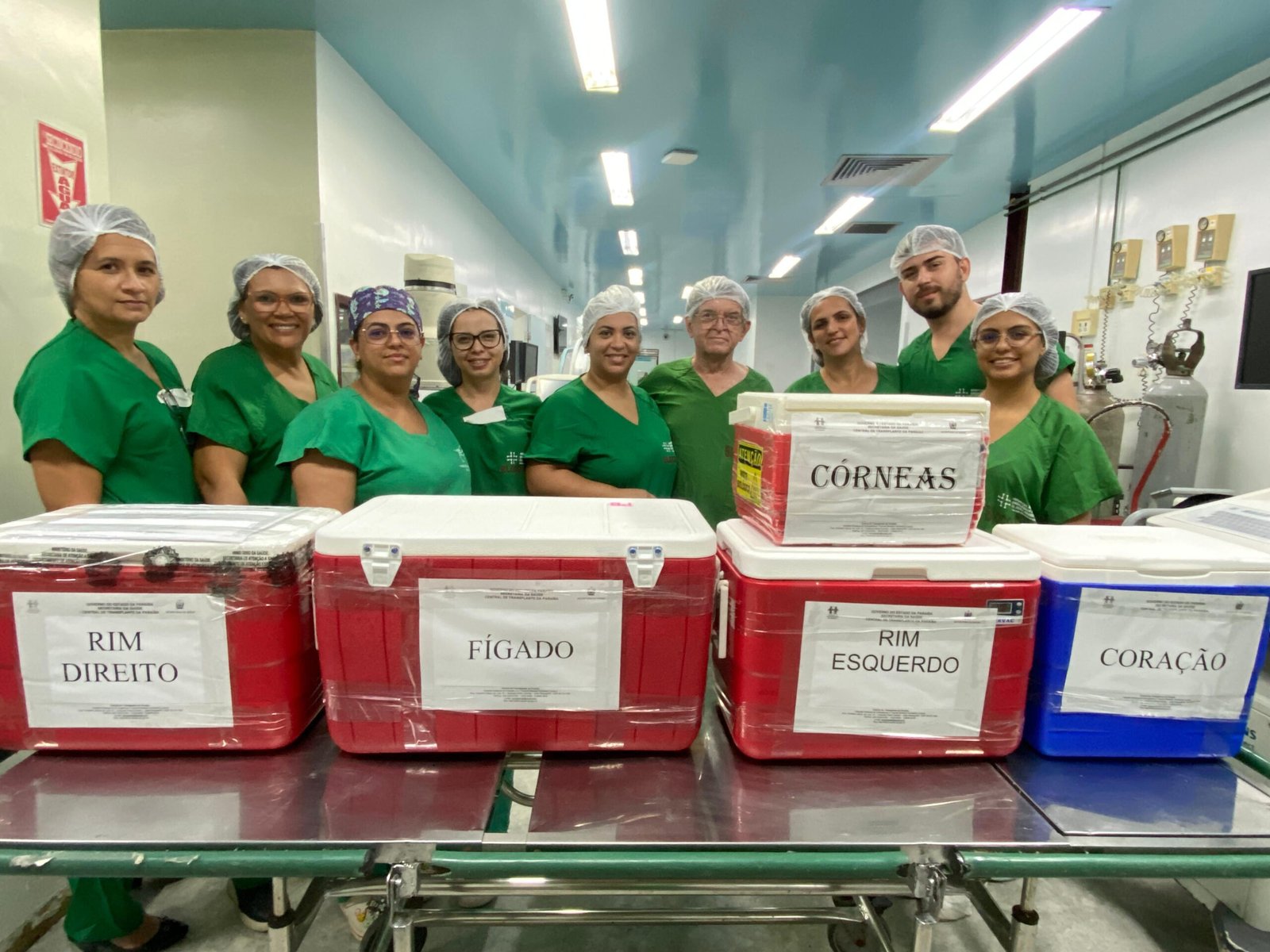 Rascunho Automático